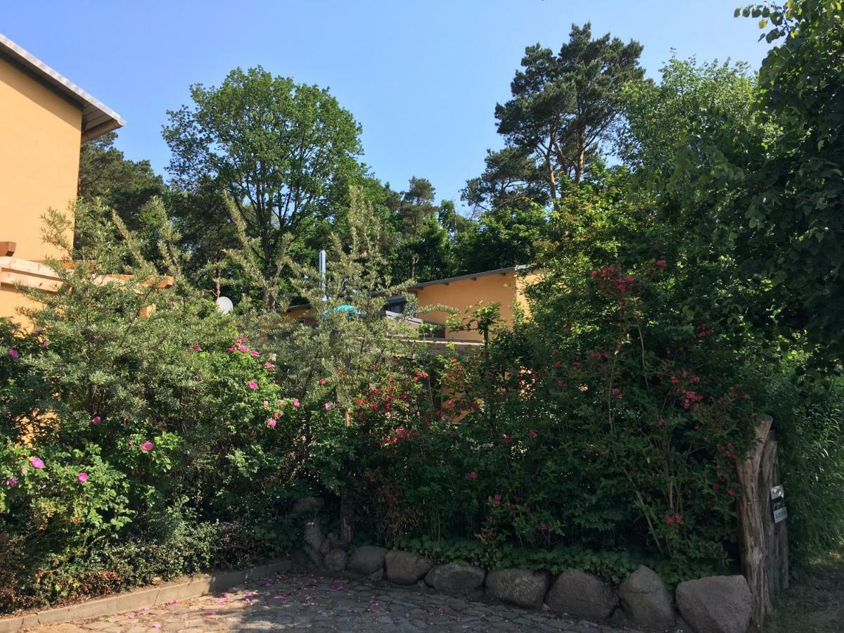 Fewo Am Strand In Koserow - Casa Del Mar - 42M Bis Zum Strand Exterior foto